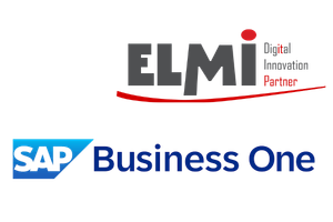 SAP ELMI
